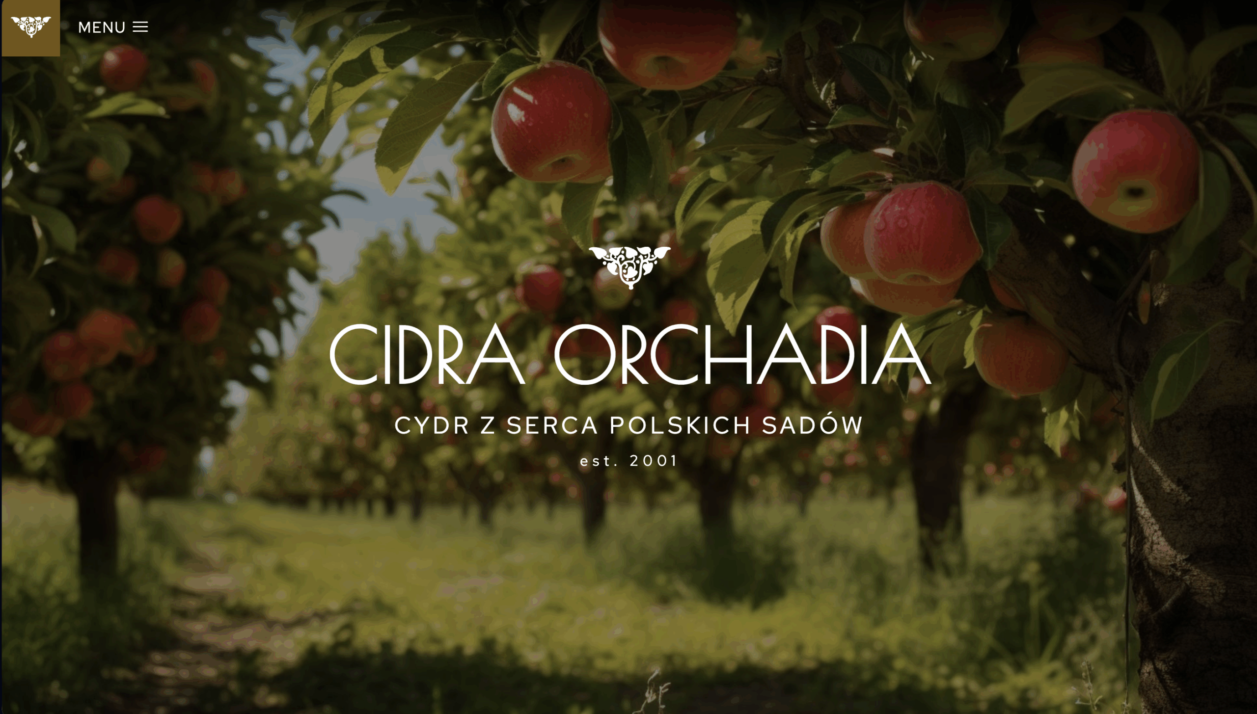 obraz_2025-05-27_112750936